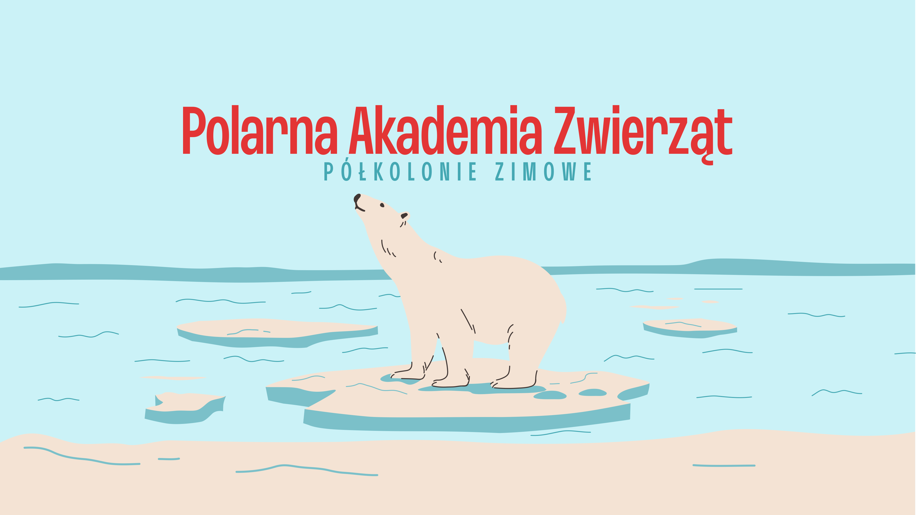 Polarna Akademia Zwierząt │ Półkolonie zimowe