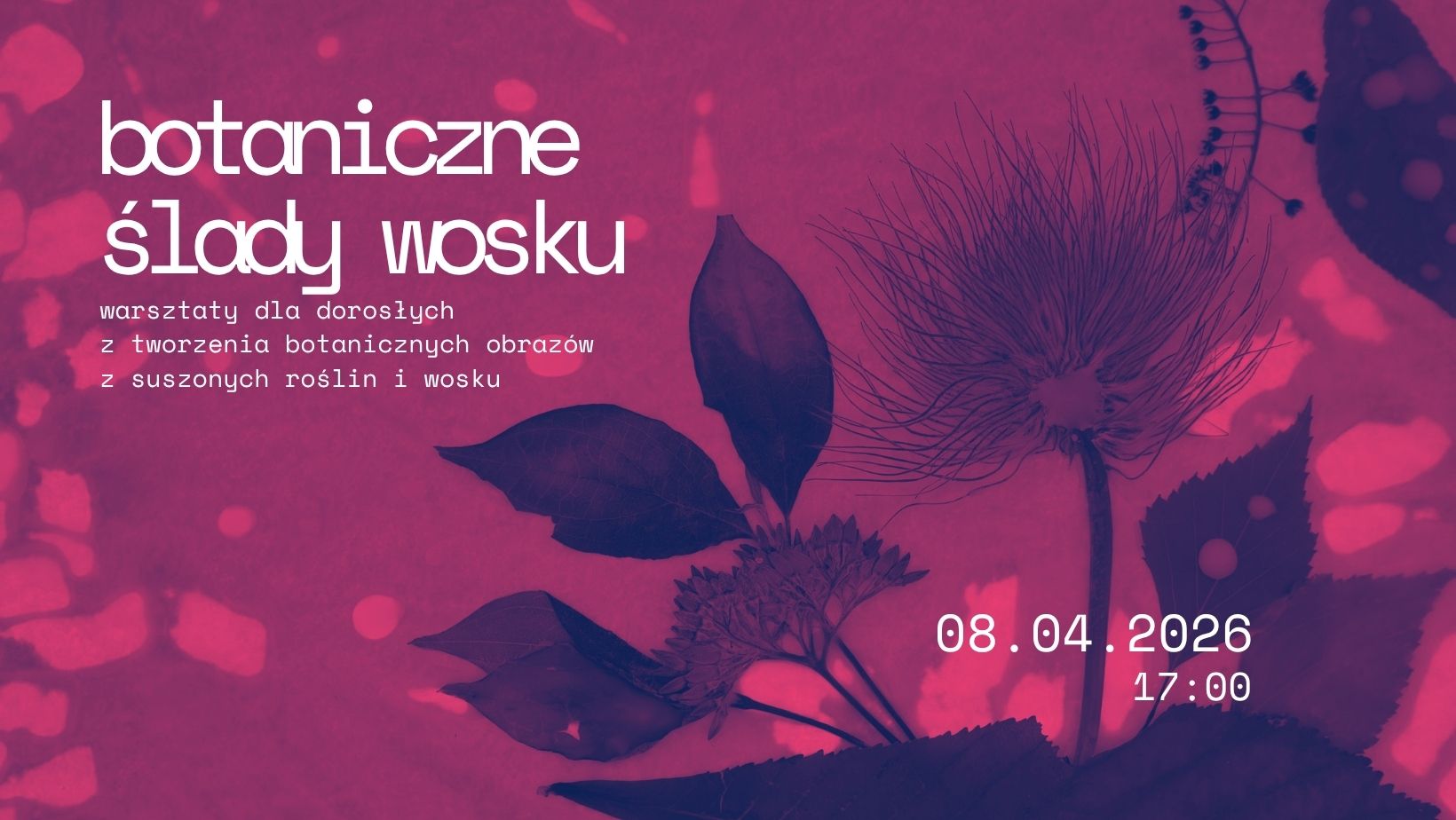 „Botaniczne ślady wosku” – warsztaty plastyczne