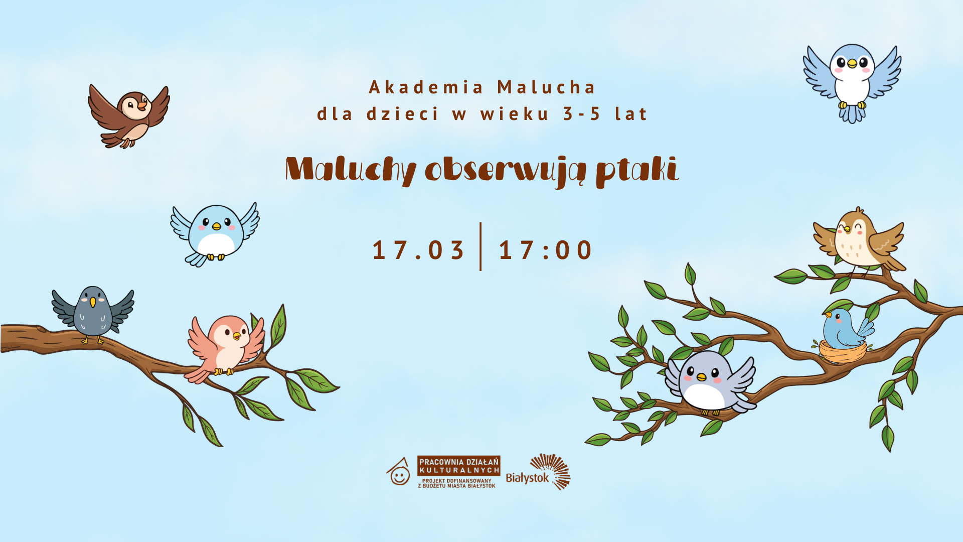 Akademia Malucha | Maluchy obserwują ptaki